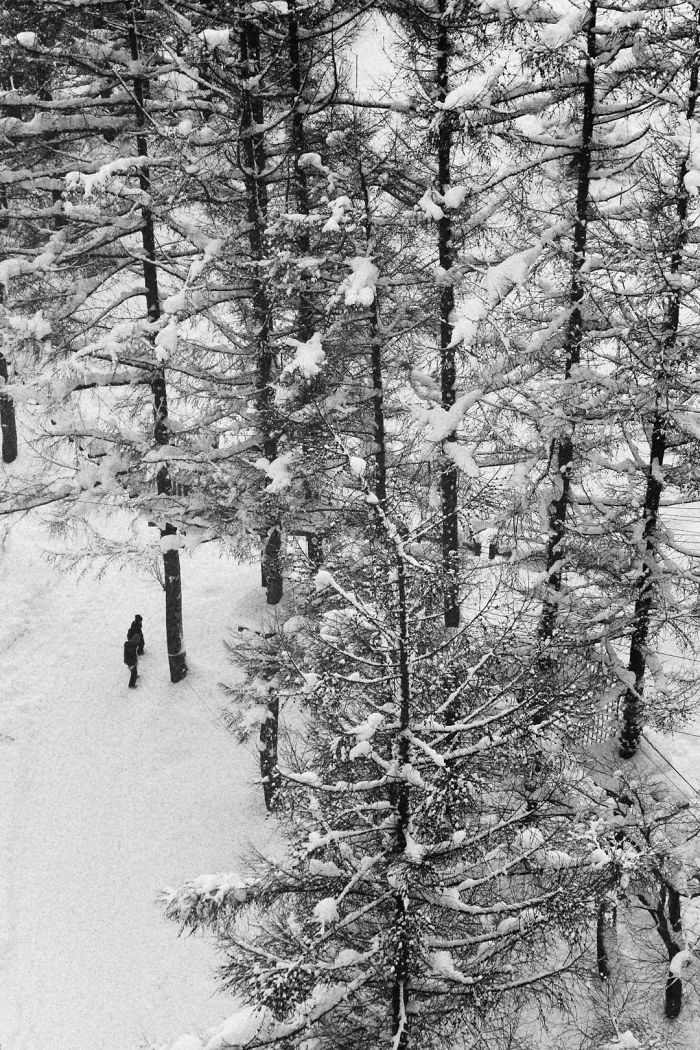 Snowy Stroll