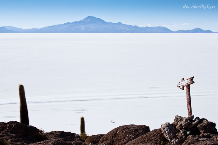 Salar De Uyuni/ Bolivia