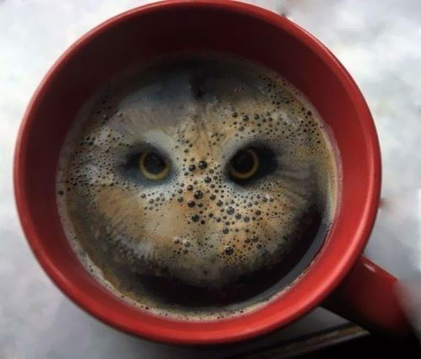 Artist Sees a Bird After Dropping Two Hula Hoops into Coffee