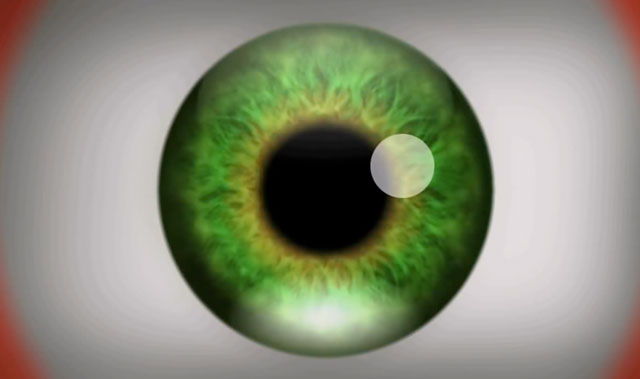 This Trippy Video Will Give You Natural Optical Hallucinations