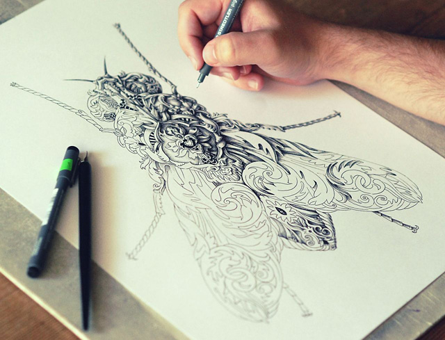 Incredibly Intricate Renaissance-Style Insect Drawings by Alex Konahin