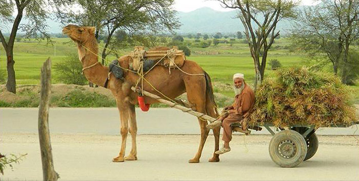 afghanistan-you-never-see-bilal-sarwary-36