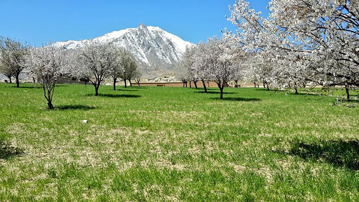 afghanistan-you-never-see-bilal-sarwary-38