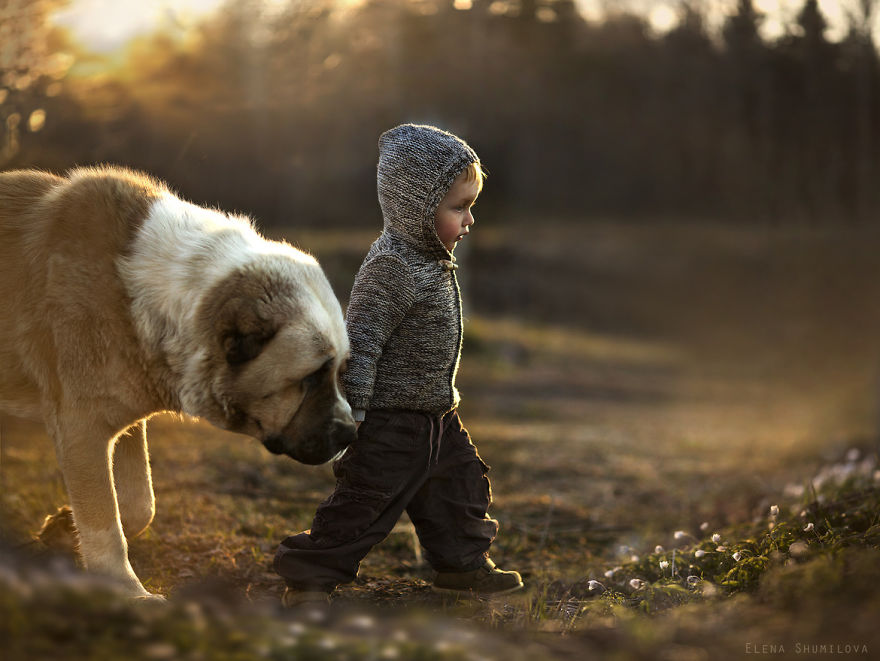 animal-children-photography-elena-shumilova-18