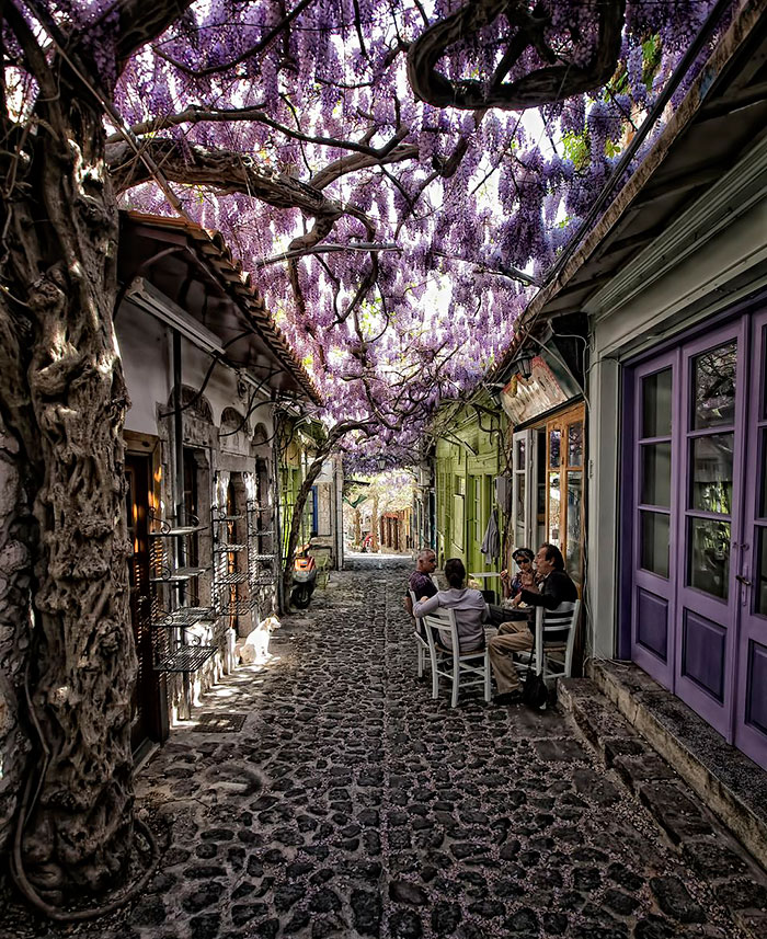 154 Of The World’s Most Magical Streets Shaded By Flowers And Trees