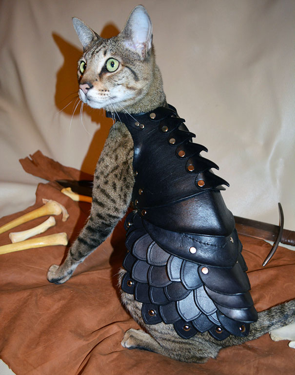 black-leather-cat-armor-schnabuble-1