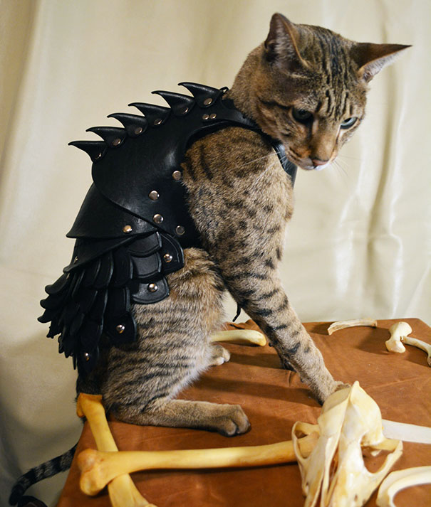 black-leather-cat-armor-schnabuble-2