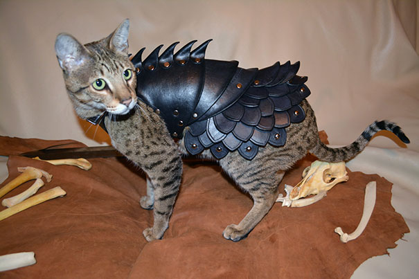 black-leather-cat-armor-schnabuble-3