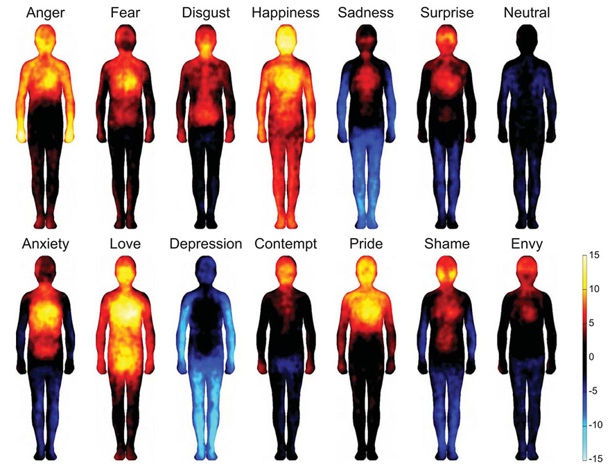 emotion-heatmap-body-atlas