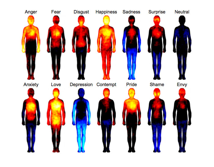 These Heatmaps Reveal Where Humans Feel Certain Emotions