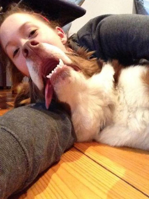 33 More Perfectly Timed Photos