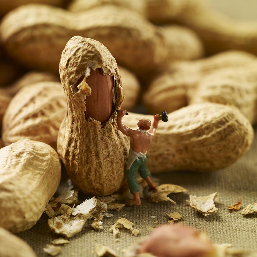 Minimiam: Tiny People's Adventures In The World of Food