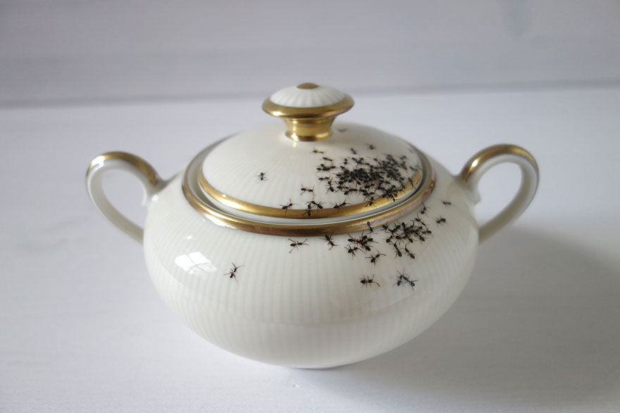porcelain-dishes-covered-in-painted-ants-1