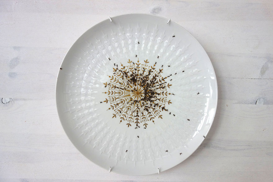porcelain-dishes-covered-in-painted-ants-4
