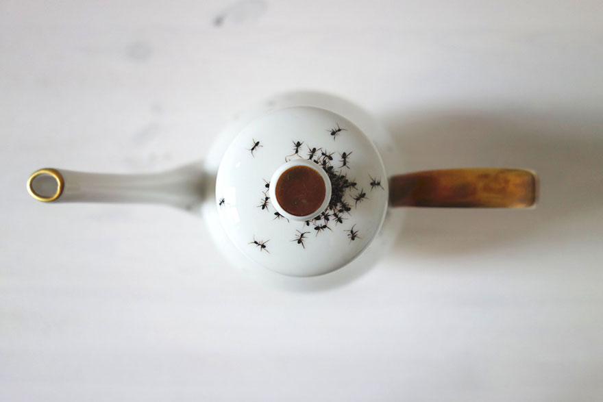 porcelain-dishes-covered-in-painted-ants-7