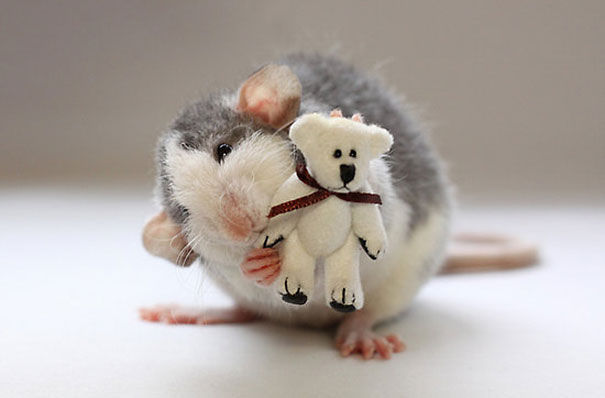 rats-with-teddy-bears-ellen-van-deelen-4
