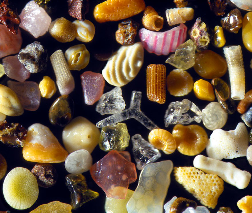 sand-grains-under-microscope-gary-greenberg-4