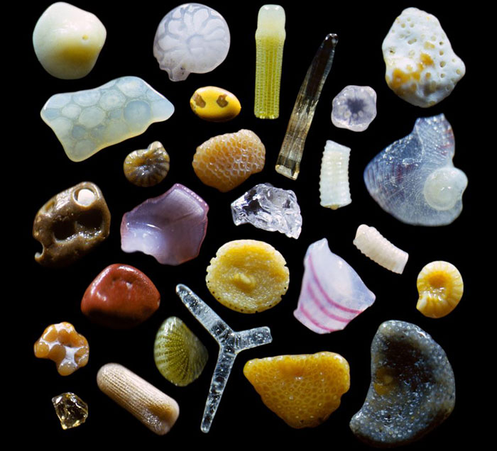 Peregrination Speak loudly Have learned This Is How Sand Looks Magnified Up To 300 Times | Bored Panda