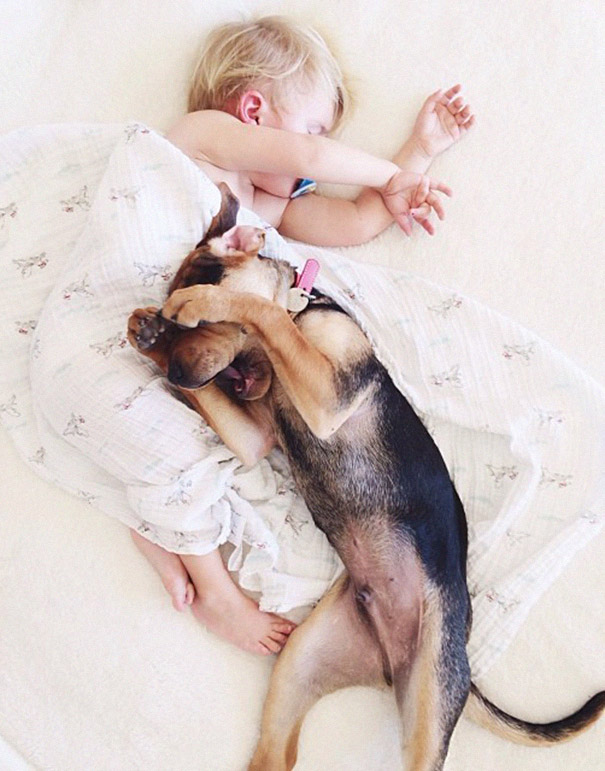 2 Months Later, This Toddler Is Still Napping With His Puppy