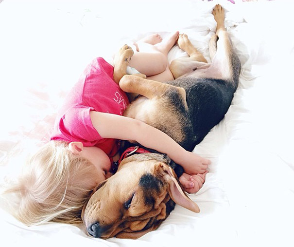 toddler-naps-with-puppy-theo-and-beau-2-2