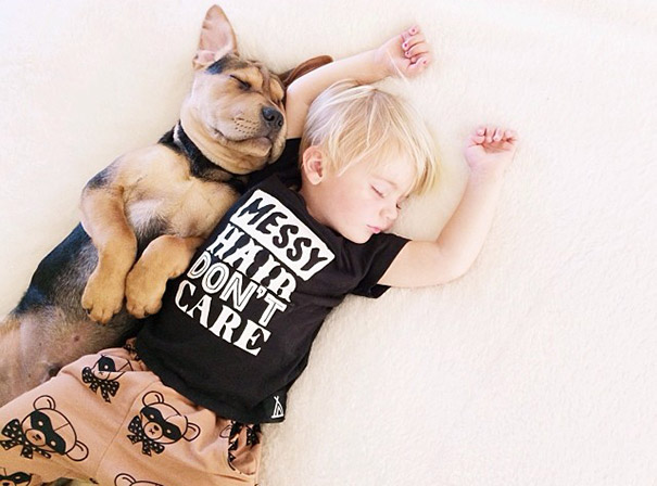 toddler-naps-with-puppy-theo-and-beau-2-4