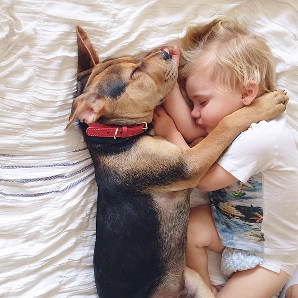 toddler-naps-with-puppy-theo-and-beau-2-8