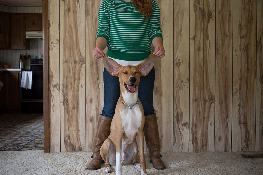 adopted-pets-why-we-rescue-theron-humphrey-16