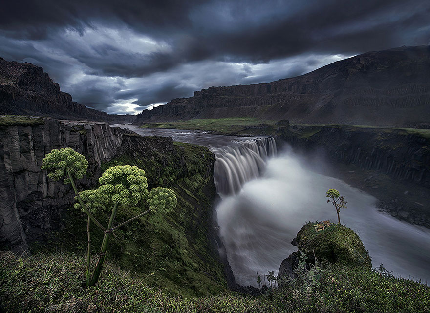 37 Reasons Why You Need To Visit Iceland  Right Now Bored 