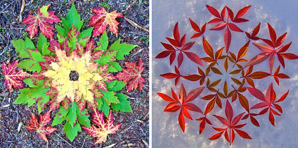 Colorful Mandala Designs Made From Flowers And Plants By Kathy Klein