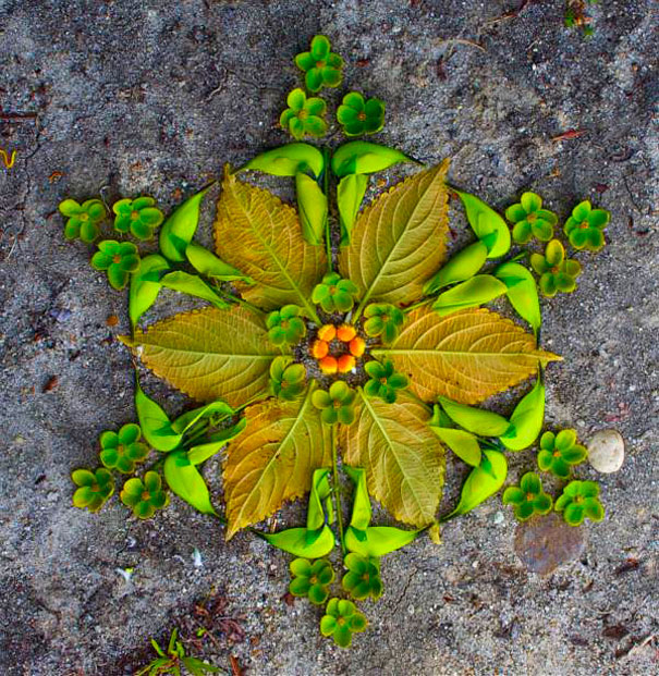 Colorful Mandala Designs Made From Flowers And Plants By Kathy Klein