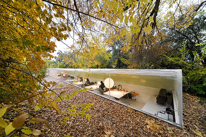 Office In Madrid Lets Employees Feel Like They’re Working in the Woods