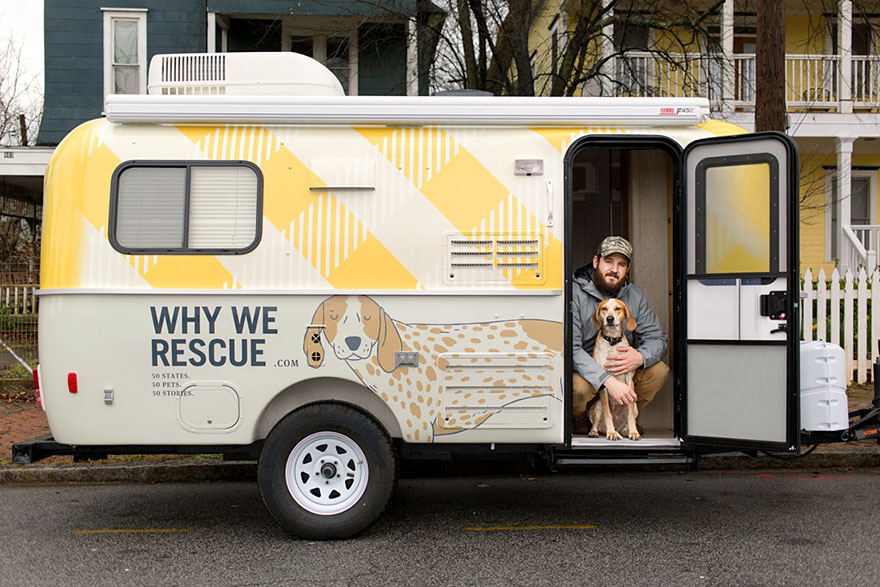 why-we-rescue-shelter-pets-purina-one-theron-humphrey-29