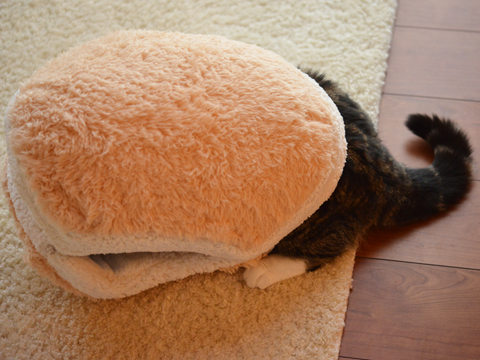 This Cat Burger Bed Will Turn Your Cat Into An Adorable Burger Patty