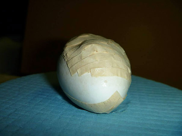 Ranger Repairs Extremely Rare Parrot's Crushed Egg With Glue And Tape