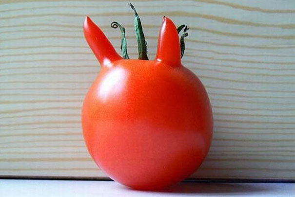16 Funny-Shaped Fruits And Vegetables That Forgot How To Be Plants