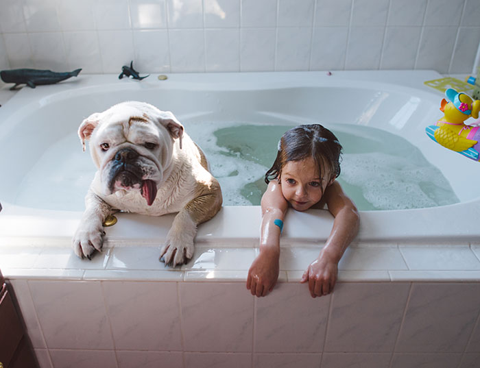 are english bulldogs good with children