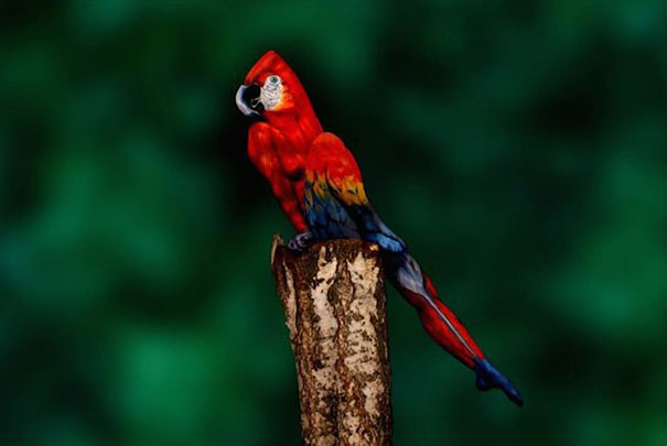 This Parrot Is Actually A Human Being!