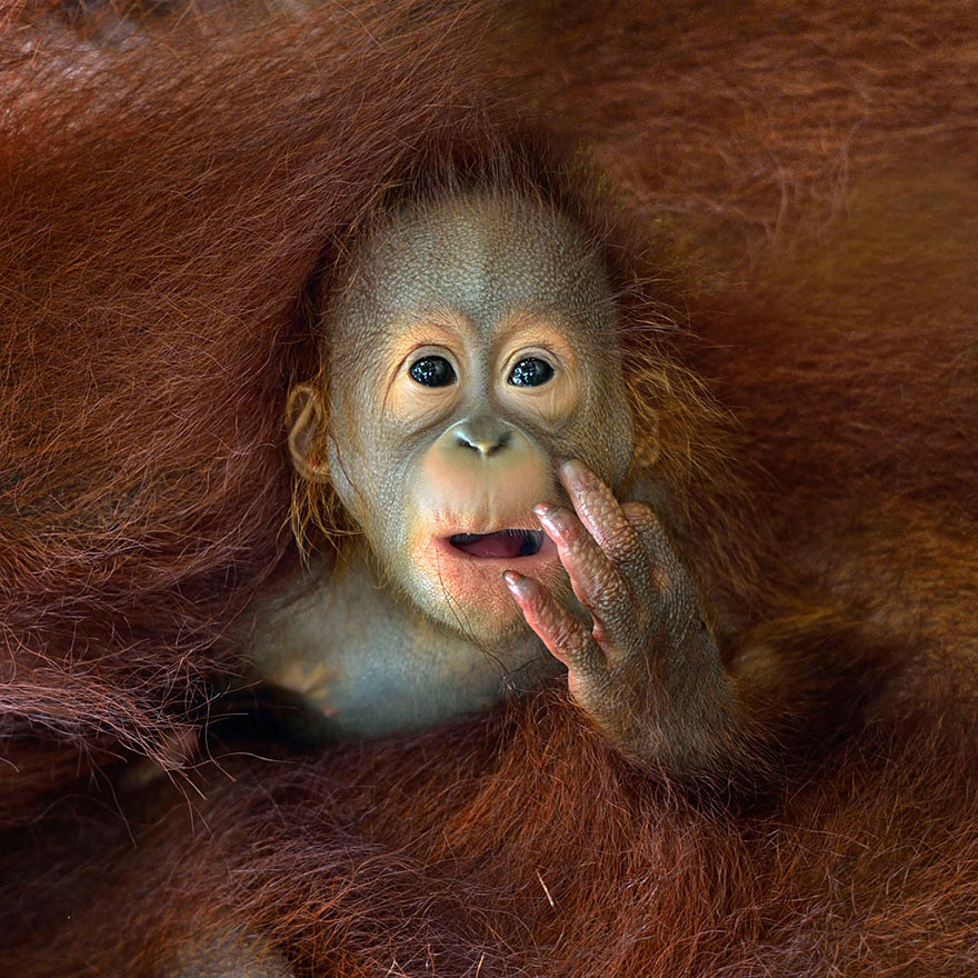 The Winners Of The 2014 Sony World Photography Awards Have Been Announced