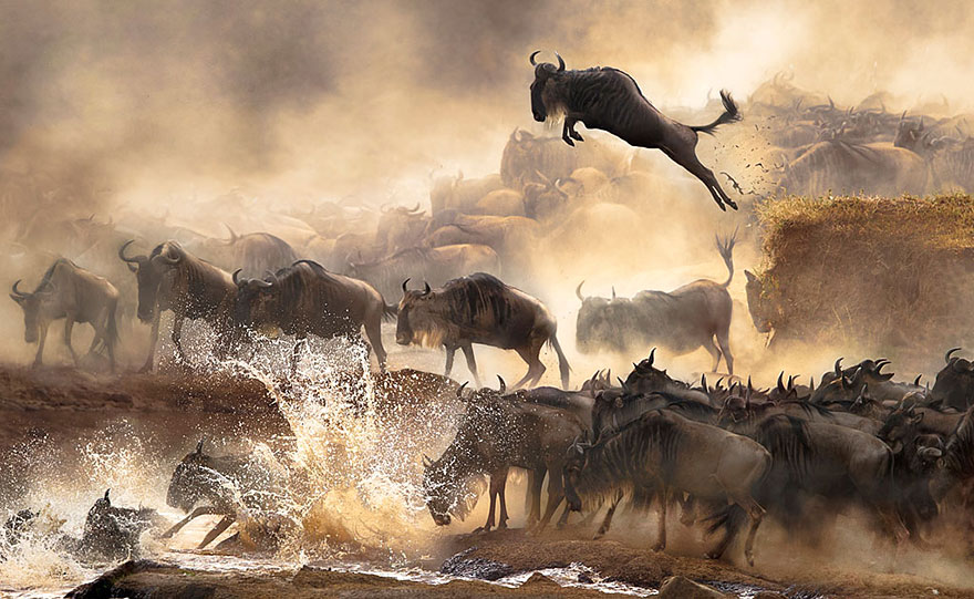 The Winners Of The 2014 Sony World Photography Awards Have Been Announced