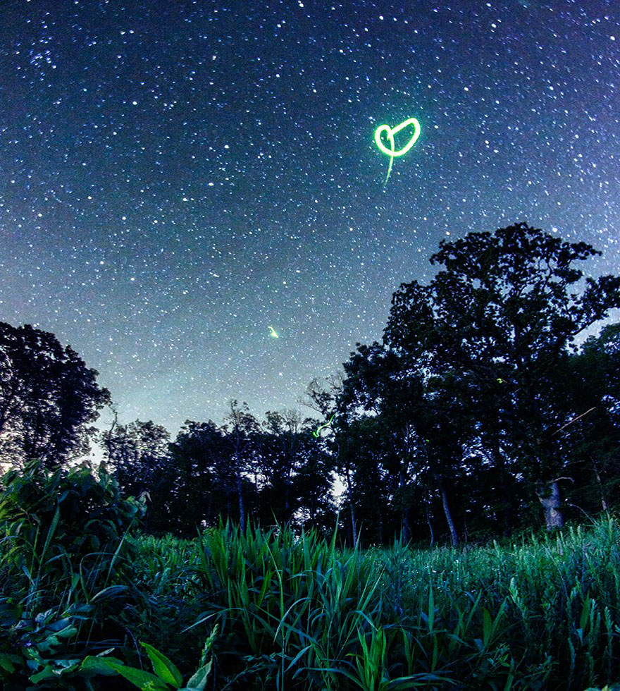 fireflies-time-lapse-photography-vincent-brady-13