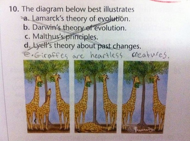 30 Brilliant Test Answers From Smartass Kids