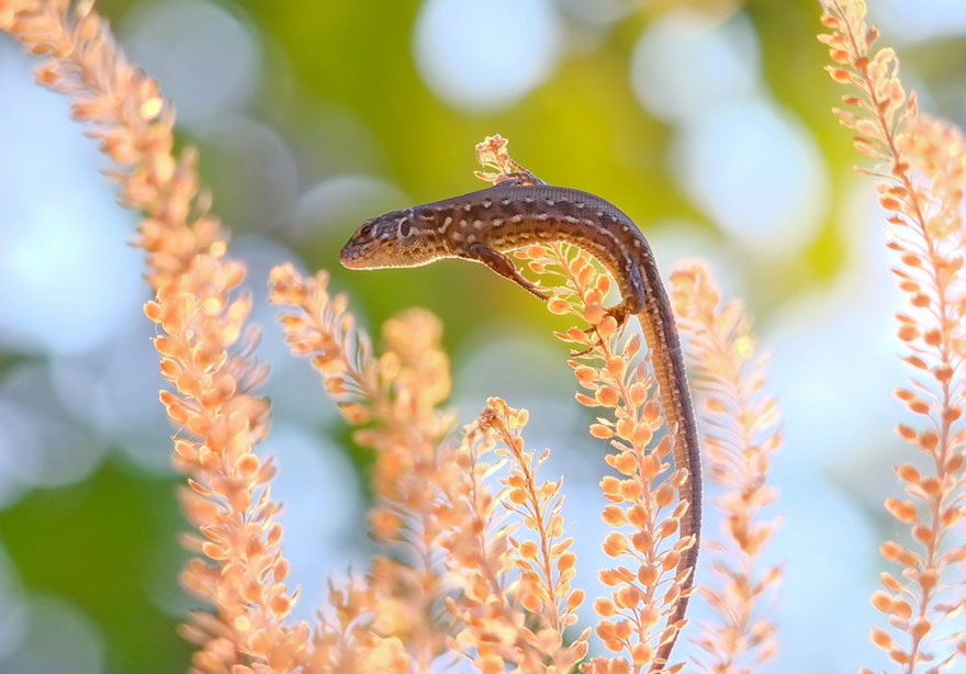 https://static.boredpanda.com/blog/wp-content/uploads/2014/04/macro-photography-vyacheslav-mishchenko-38.jpg