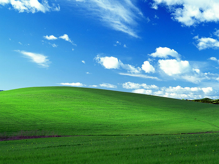 The World's Most-Viewed Photo – The Windows XP 'Bliss' Wallpaper – Is a  Real, Unaltered Photo | Bored Panda