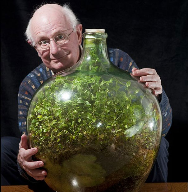 80-Year-Old Man Hasn't Watered This Sealed Bottle Garden Since 1972 And It's Still Alive