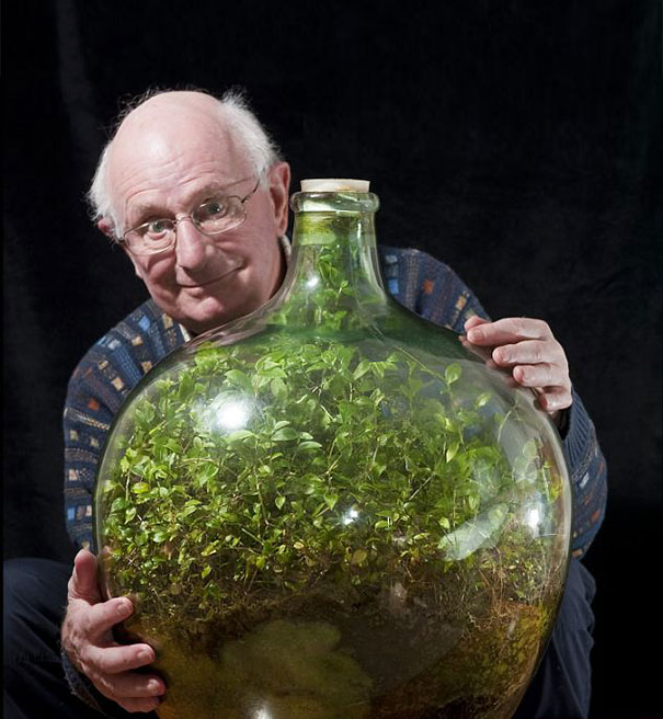 80-Year-Old Man Hasn’t Watered This Sealed Bottle Garden Since 1972 And It’s Still Alive