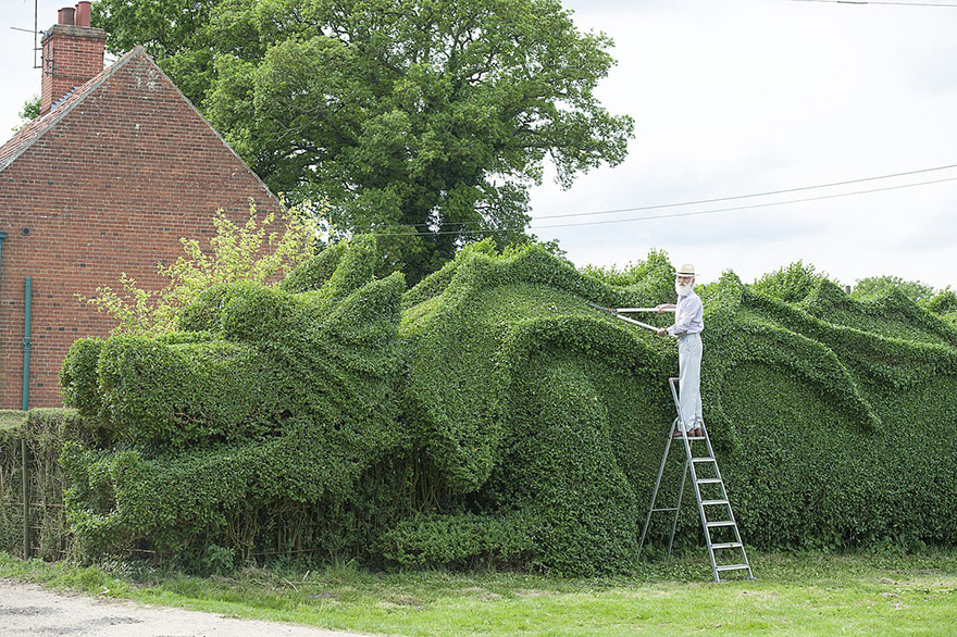 Elderly Man Spent 10 Years Turning 150-Ft-Long Hedge Into Giant Dragon