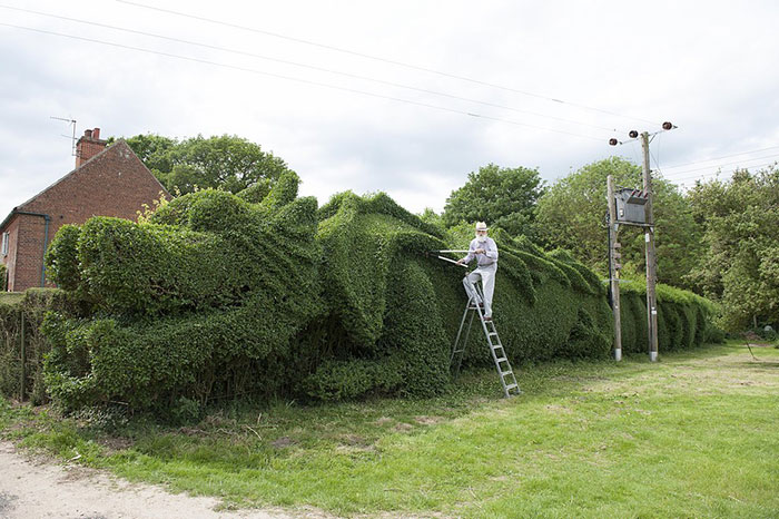 Elderly Man Spent 10 Years Turning 150-Ft-Long Hedge Into Giant Dragon