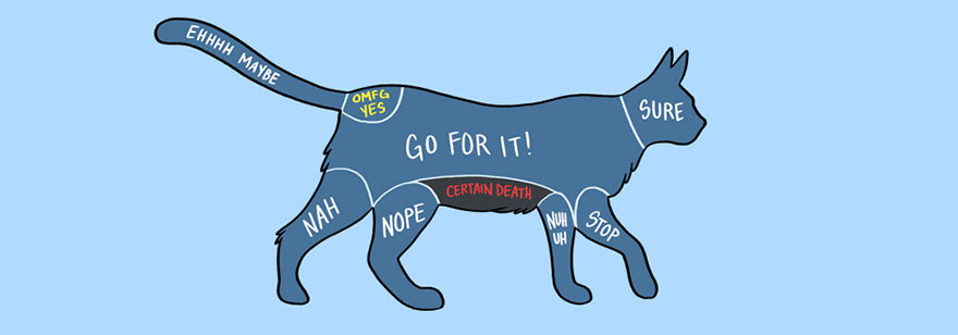 How To Pet Animals Illustrated In Diagrams | Bored Panda