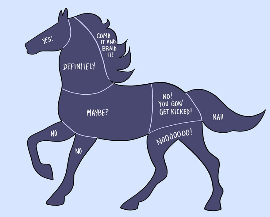 How To Pet Animals Illustrated In Diagrams