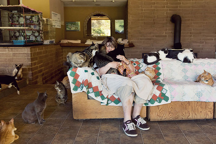 The World’s Largest No-Kill Cat Sanctuary Has Saved Over 24000 Furballs